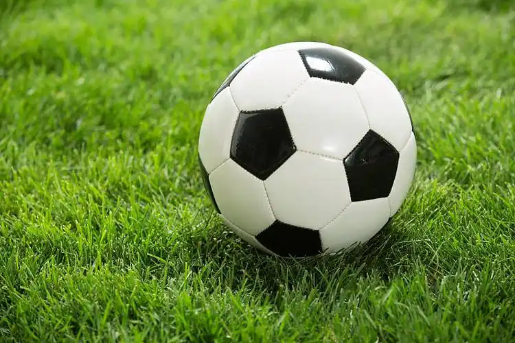 007球探网即时比分足球手机常见问题